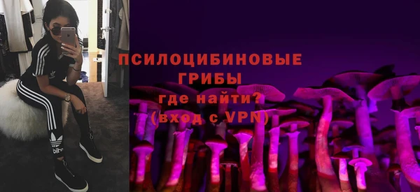 МДПВ Лиски