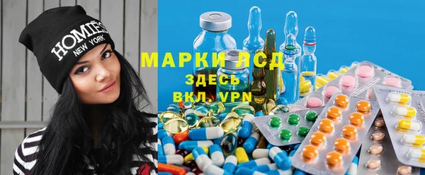 спиды Зерноград