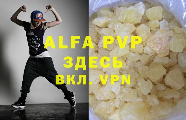 хмурый Абаза