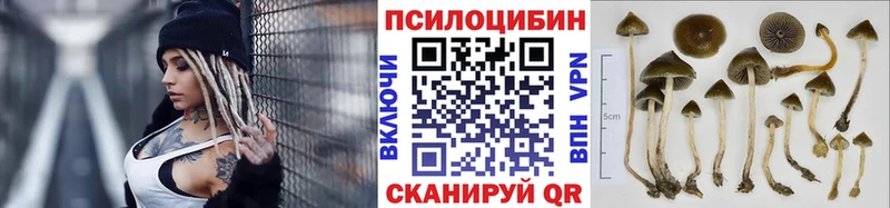 Псилоцибиновые грибы Cubensis  omg зеркало  Нефтеюганск 